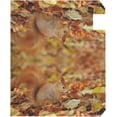 thumbnail image 3 of Red Squirrel in Autumn Fall Leafs Magnetic Mailbox Cover Oversized for Garden Yard Outdoor Decorations-25.5" x20.8, 3 of 5
