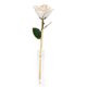 thumbnail image 5 of Rosa bañada en oro rosa chapada en oro de 24 quilates romántica con soporte para el día de San Valentín ANGGREK Otros, 5 of 8