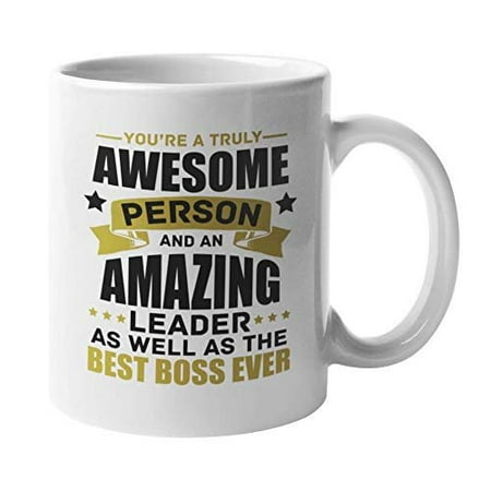 You're A Truly Awesome Person And An Amazing Leader As Well As The Best Boss Ever. Inspiration Coffee & Tea Gift Mug For Leaders, Director, Exec, Managers, Pastors, Employees, Women And Men (The Best Leader Ever)