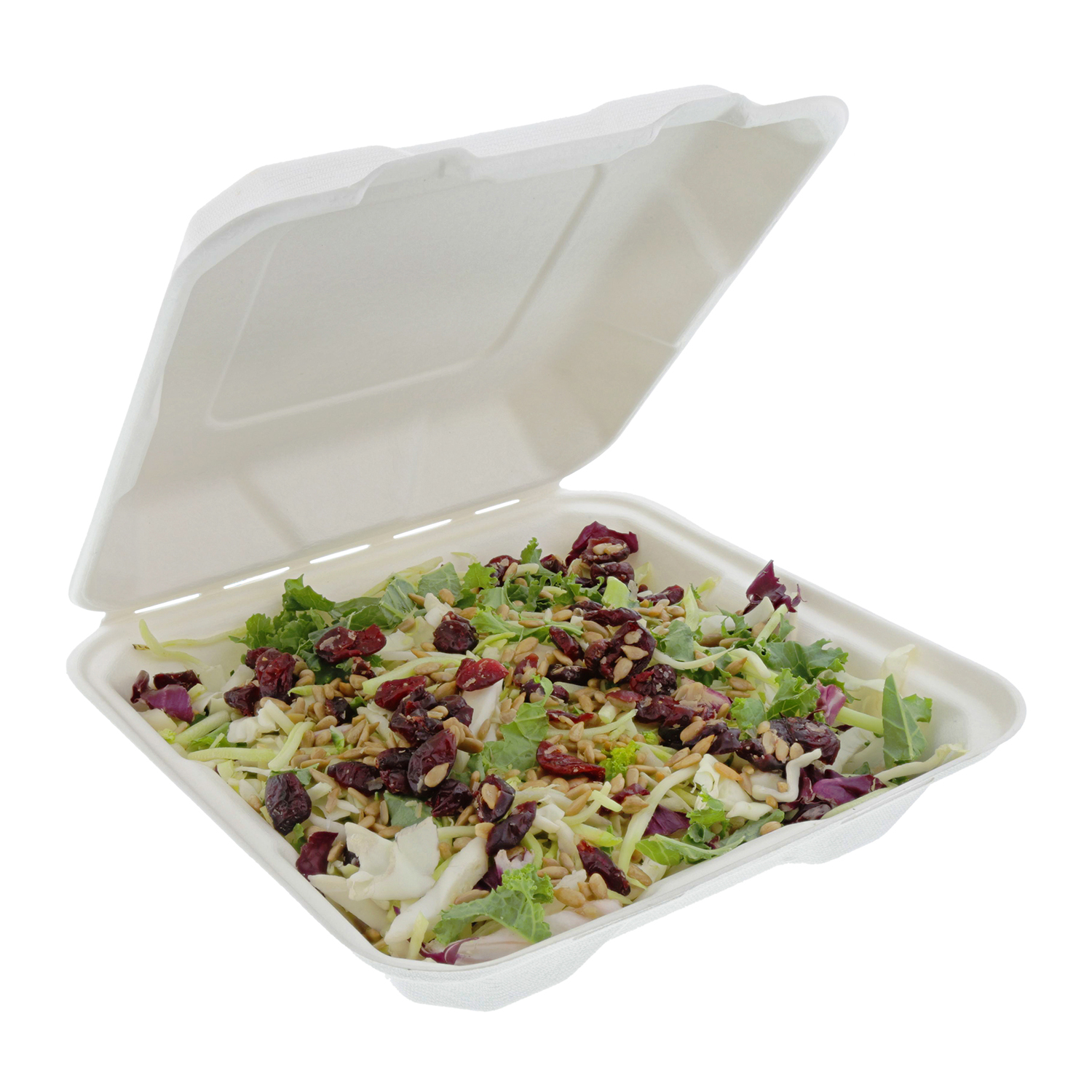 CiboWares Medium Disposable Molded Fiber Takeout Containers with Hinged Lids, Made from Bagasse