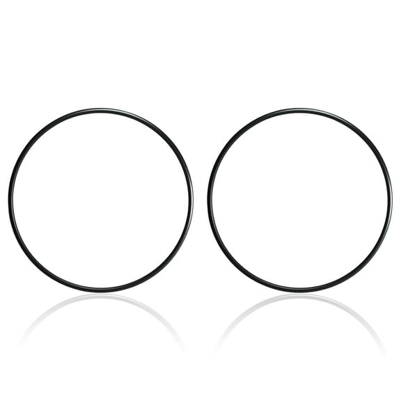 87300400 / 87300400Z O-Ring Compatible with Pentair Clean & Clear, Predator, EasyClean, and Warrior Filter Tank Bodies (2 Pack)