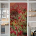 thumbnail image 2 of 3D Privacy Home Bathroom Window Film Sticker Self Adhesive lass Decor a Beautiful Ranunculus Flowers in a Field aka Buttercup Flower Blooms in Vibrant Warm red Color Spring time 35.4" x 78.7" Door, 2 of 6