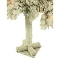 Fraser Hill Farm Set of 3 Snowy Alpine Artificial Trees with Clear