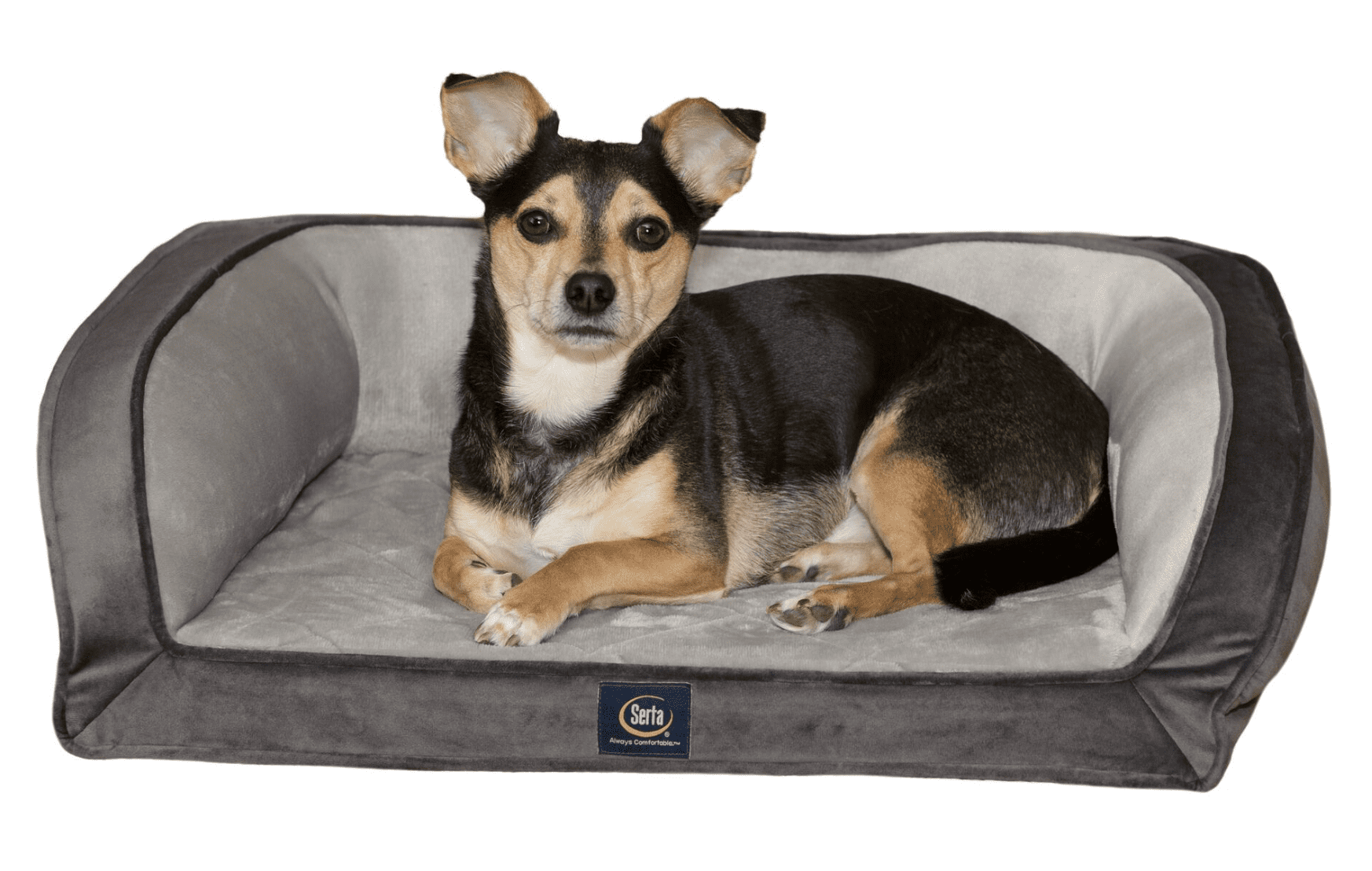 mini couch for dogs