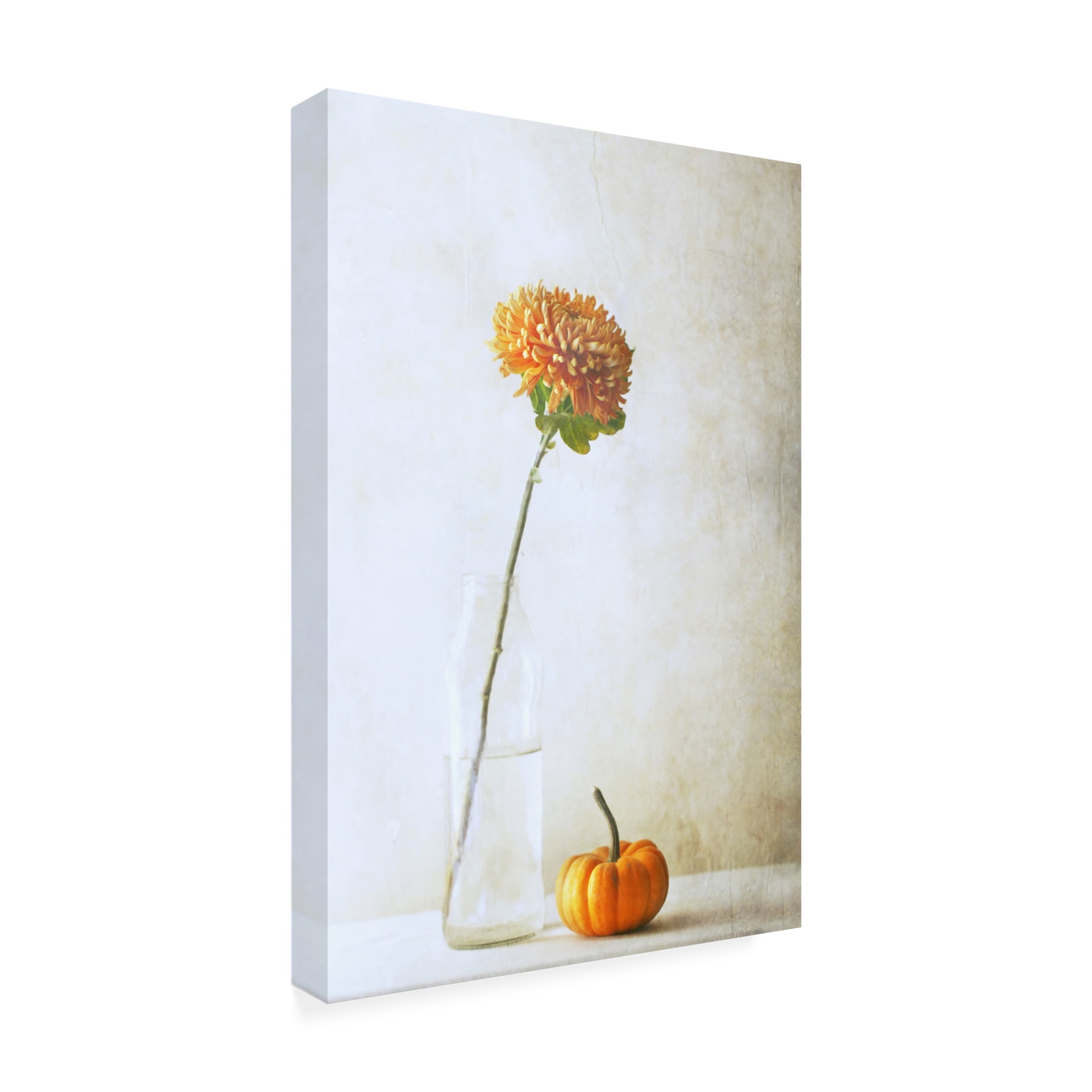 Canvas Wall Art - Delphine Devos 'Autumn Flower' Wall Art for Living Room, Bedroom, or Office Décor by Trademark Fine Art - 30 x 47 Inches