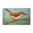 thumbnail image 1 of Betsy Drake DM1177G 30 x 50 in. Dicks Wren Door Mat, 1 of 1