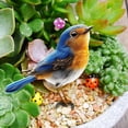 thumbnail image 5 of Lypsnake Little Blue Bird Decorative Floor Insert, Realistic Robin Bird Yard Art Stake, Weatherproof Resin Ornament for Outdoor Lawn Flower Bed Patio and Garden Path, 5 of 7