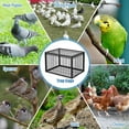 thumbnail image 5 of Humane  Trap Cage with One-Way Entry for Small Birds, 5 of 7