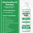 thumbnail image 2 of Champú Truseb Topical Chlorhexidine 4% para perros, gatos y caballos, 2 of 9