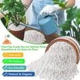 thumbnail image 3 of 4 Quarts Organic Horticultural Perlite for Plants Indoor- Natural Horticultural Soil Additive Conditioner Mix for Improves Drainage, Ventilation and Root Growth, 3 of 4