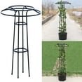 thumbnail image 2 of lixuesong Fruit Trellises Metal Garden Climbing Wide Stretch Ties for Vertical Gardening Dragonfruit Vining Plant Gardenin, 2 of 3