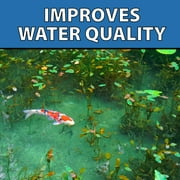 CrystalClear MuckOff, Beneficial Bacteria Treatment for Small Pond & Water Garden Muck Control - 384 Tablets