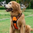 thumbnail image 4 of Arnés para perros, antitirones Arnés para mascotas con 2 clips para correa, chaleco acolchado suave ajustable para perros, chaleco Oxford reflectante antiestrangulamiento para mascotas con asa de fác, 4 of 5