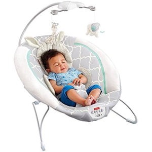 fisher price deluxe bouncer safari dreams