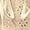 Beige, variant on Women's Summer Casual Lace Elastic Waist Shorts Cute Eyelet Beach Vacation
