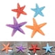 thumbnail image 5 of 4 Uds simulación estrella pez modelo ciencia juguete educativo DIY decoración del hogar mano de obra fina duradera decoración de mesa de boda Macarena Figuras Marinas, 5 of 8