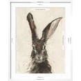 thumbnail image 5 of Art.com European Hare II Art Print by Ethan Harper, White Frame Wall Art, 23" x 29", 5 of 5