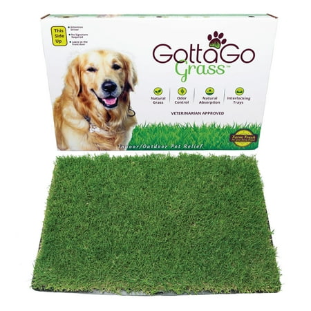 UPC: 0050566100027 | Gotta Go Grass with Tray 1pk