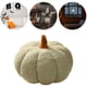 thumbnail image 5 of Almohada Con Forma Calabaza Halloween Forro Polar Peluche (oscuro) Verde, 5 of 9