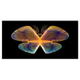 thumbnail image 2 of Design Art - Blue Yellow Fractal Butterfly in Dark, 2 of 3