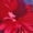 Deep Red, variant on Women'S Bodycon Maxi Dress Fashion Long Sleeve Floral Print Tight Fitted Party Club Ruched Dresses Deep Red M