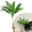 A, variant on Artificial Cordyline Fruticosa Logs Tropcial Plant, Fake Dracaena Tree for Indoor Outdoor Office Home Living Room Patio Greenery Porch Decor, Pink