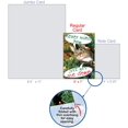 thumbnail image 4 of CAB1960 Never mind how, just get Christmas Humor Card (12 Pack), 4 of 7