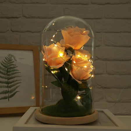 

Romantic Immortal Flower Micro Landscape Rose GlShade Led Llight Christmas Gift