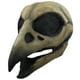 thumbnail image 1 of Máscara De Craneo Cuervo Raven Skull Disfraz Halloween Ideas Ghoulish productions Mascara Completa, 1 of 5