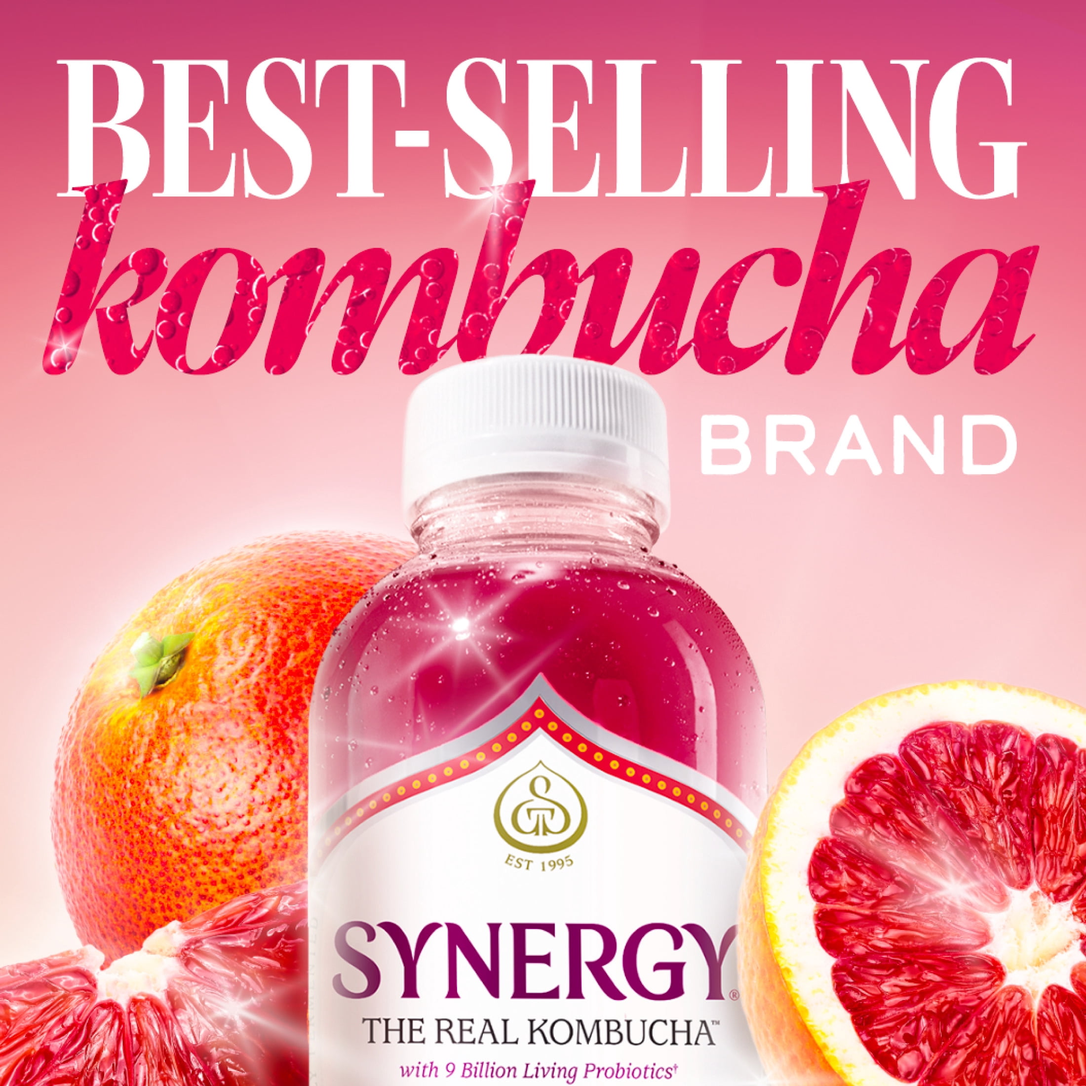GT's Synergy Raw Blood Orange Kombucha 16 fl oz