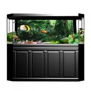 Zerodis Rainforest Background, HD Image Fish Tank Poster, Fish Tank For Reptile Box