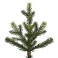thumbnail image 2 of Vickerman 6.5' x 52" Welch Fraser Fir Artificial Christmas Tree, Unlit, 2 of 4