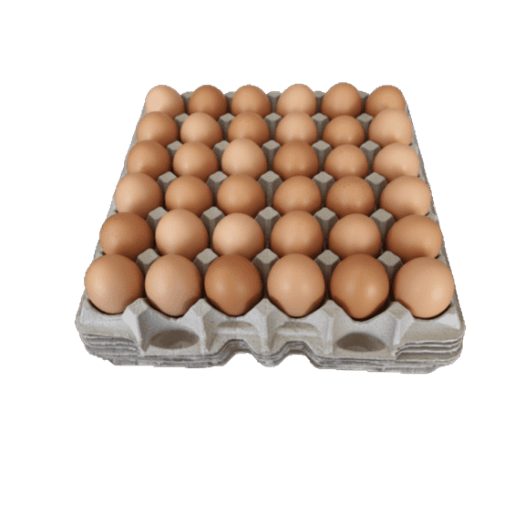 Egg Flats, Biodegradable Pulp Bulk Egg Tray Egg for Storing 30 Large Eggs Or Small Parts Or Use for Crafting 6 Trays
