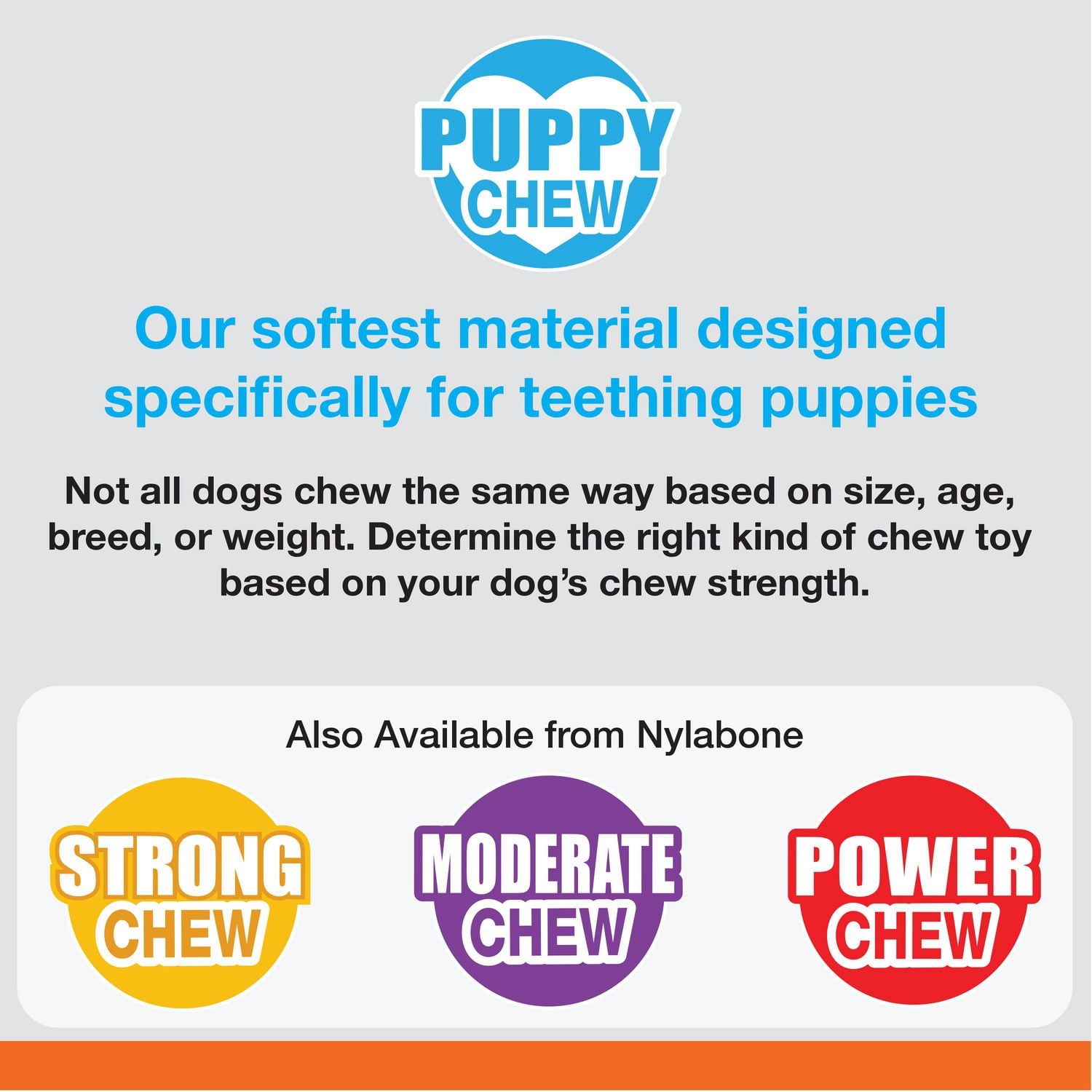 Nylabone Puppy Chew Combo Pack
