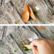 thumbnail image 4 of 5 Pieces Mini Wooden Spoon Condiments Spoon with Short Handle for Coffee Loose Tea Leaves Milk Powder Spice Candy Etc, 4 of 5