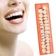 thumbnail image 3 of Modelo De Dientes De Resina Dentaduras Duraderas Dientes Postizos Universales Resi 28 Unids/Set Vogacara  CE003654-00, 3 of 6