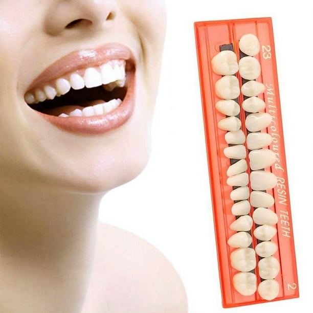 28 unids/set modelo de dientes de resina dentaduras postizas duraderas dientes postizos universales Resi