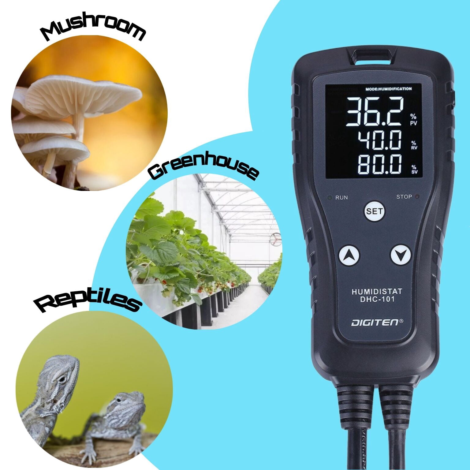 DIGITEN Humidity Controller Digital Humidistat Pre-Wired Outlet Reptile Humidity Controller for Grow Tent Mushroom Greenhouse Homebrew Fermentation Humidifier Dehumidifier