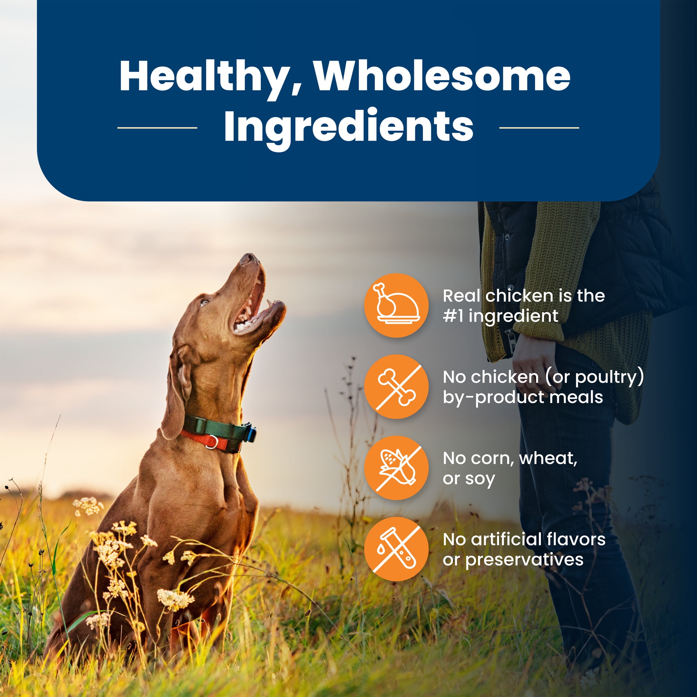 Blue Buffalo Life Protection Formula Large Breed Dry Dog Food, Chicken & Rice, 24-lb. Bag