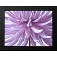 thumbnail image 2 of Frank, Assaf 24x19 Black Modern Framed Museum Art Print Titled - Dahlia Flower, 2 of 5