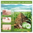 thumbnail image 5 of Gel de Aloe Vera Puro 99% Fuveuua 210 ml Calmante para Quemaduras de Sol, 5 of 5