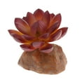 thumbnail image 5 of TERRARIUM Falso MULTISUCULENTE PLANTA DECORACIÓN VIVARIUM - 1, 5 of 5