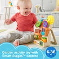 thumbnail image 3 of Fisher-Price Laugh & Learn Peek & Play Busy Garden Activity Toy, 3 of 7