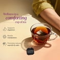 thumbnail image 2 of Dakshin Spicy Apple Cinnamon Black Tea – Bold Sweet Flavor, Naturally Caffeinated, 16 Bags, 2 of 6