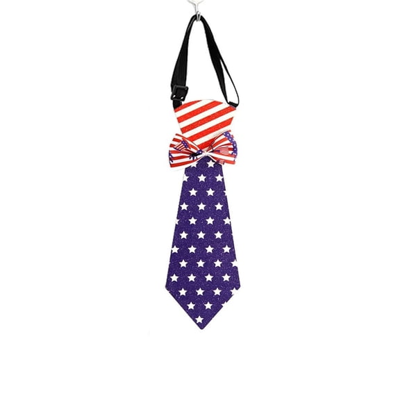 Tkrady Men's 100% Microfiber Long May She Wave America 4th of July Independence Patriotic Novelty Tie Necktie