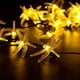 thumbnail image 4 of Luces de cadena Al aire libre Impermeable 5m Decoración de jardín Luz Luces de hadas para jardín Árbol de Navidad Césped Banquete de boda Halloween 20 luces Luz de color cálido, 4 of 4