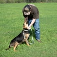thumbnail image 2 of Country Brook Petz® 1 Inch Digital Camo Everyday Dog Leash Limited Edition, 6 Foot, 2 of 5