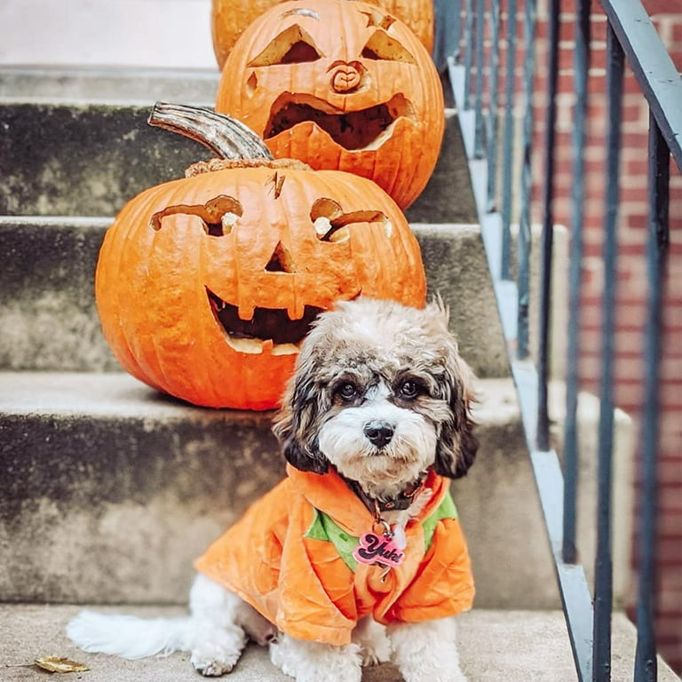 Dog Cat Halloween Pumpkin Costume Pet Cosplay Costumes Puppy Warm