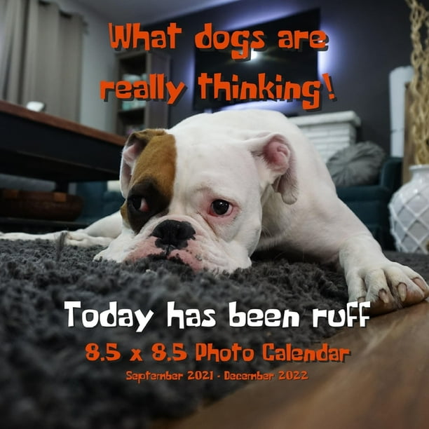 What Dogs Are Really Thinking! 8.5 X 8.5 Calendar September 2021
