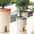 thumbnail image 6 of CreativeArrowy Self Watering Plastic Planter Lazy Flowers Container Garden Home Decoration Light And Sturdy Flowerpot, 6 of 17